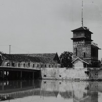 history